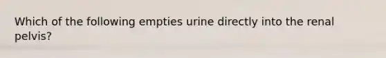 Which of the following empties urine directly into the renal pelvis?