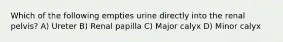 Which of the following empties urine directly into the renal pelvis? A) Ureter B) Renal papilla C) Major calyx D) Minor calyx