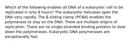 Which of the following enables all DNA of a eukaryotic cell to be replicated in only 8 hours? The eukaryotic helicases open the DNA very rapidly. The β-sliding clamp (PCNA) enables the polymerase to stay on the DNA. There are multiple origins of replication. There are no single-stranded binding proteins to slow down the polymerases. Eukaryotic DNA polymerases are exceptionally fast.