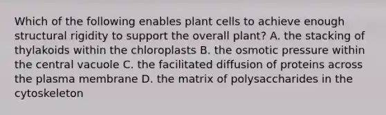 Which of the following enables plant cells to achieve enough structural rigidity to support the overall plant? A. the stacking of thylakoids within the chloroplasts B. the osmotic pressure within the central vacuole C. the facilitated diffusion of proteins across the plasma membrane D. the matrix of polysaccharides in the cytoskeleton