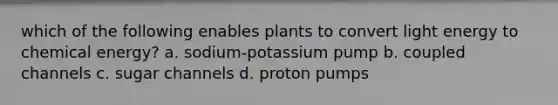 which of the following enables plants to convert light energy to chemical energy? a. sodium-potassium pump b. coupled channels c. sugar channels d. proton pumps