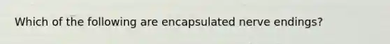 Which of the following are encapsulated nerve endings?