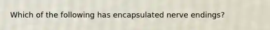 Which of the following has encapsulated nerve endings?