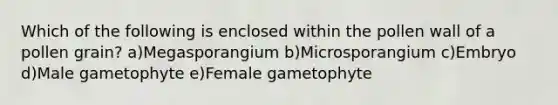 Which of the following is enclosed within the pollen wall of a pollen grain? a)Megasporangium b)Microsporangium c)Embryo d)Male gametophyte e)Female gametophyte