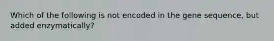 Which of the following is not encoded in the gene sequence, but added enzymatically?