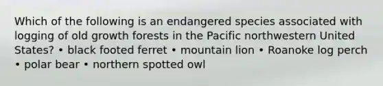 Which of the following is an endangered species associated with logging of old growth forests in the Pacific northwestern United States? • black footed ferret • mountain lion • Roanoke log perch • polar bear • northern spotted owl