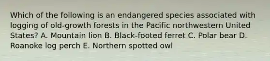 Which of the following is an endangered species associated with logging of old-growth forests in the Pacific northwestern United States? A. Mountain lion B. Black-footed ferret C. Polar bear D. Roanoke log perch E. Northern spotted owl