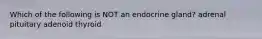 Which of the following is NOT an endocrine gland? adrenal pituitary adenoid thyroid