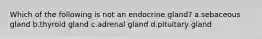 Which of the following is not an endocrine gland? a.sebaceous gland b.thyroid gland c.adrenal gland d.pituitary gland