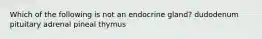 Which of the following is not an endocrine gland? dudodenum pituitary adrenal pineal thymus