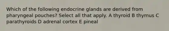 Which of the following endocrine glands are derived from pharyngeal pouches? Select all that apply. A thyroid B thymus C parathyroids D adrenal cortex E pineal