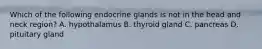 Which of the following endocrine glands is not in the head and neck region? A. hypothalamus B. thyroid gland C. pancreas D. pituitary gland