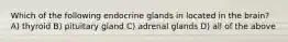 Which of the following endocrine glands in located in the brain? A) thyroid B) pituitary gland C) adrenal glands D) all of the above