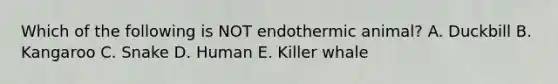 Which of the following is NOT endothermic animal? A. Duckbill B. Kangaroo C. Snake D. Human E. Killer whale