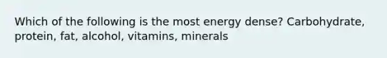 Which of the following is the most energy dense? Carbohydrate, protein, fat, alcohol, vitamins, minerals