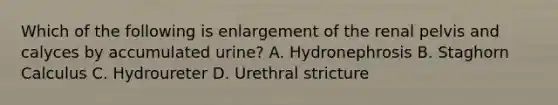 Which of the following is enlargement of the renal pelvis and calyces by accumulated urine? A. Hydronephrosis B. Staghorn Calculus C. Hydroureter D. Urethral stricture