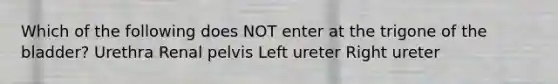 Which of the following does NOT enter at the trigone of the bladder? Urethra Renal pelvis Left ureter Right ureter