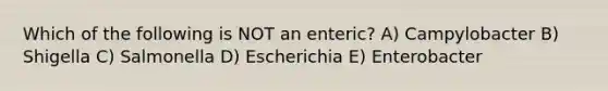 Which of the following is NOT an enteric? A) Campylobacter B) Shigella C) Salmonella D) Escherichia E) Enterobacter