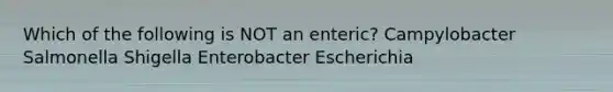 Which of the following is NOT an enteric? Campylobacter Salmonella Shigella Enterobacter Escherichia