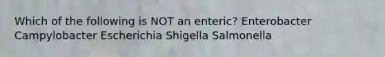 Which of the following is NOT an enteric? Enterobacter Campylobacter Escherichia Shigella Salmonella