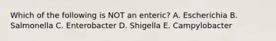 Which of the following is NOT an enteric? A. Escherichia B. Salmonella C. Enterobacter D. Shigella E. Campylobacter