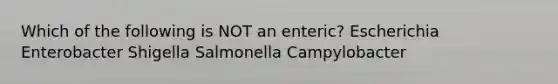 Which of the following is NOT an enteric? Escherichia Enterobacter Shigella Salmonella Campylobacter