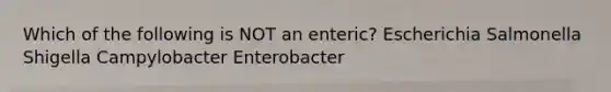 Which of the following is NOT an enteric? Escherichia Salmonella Shigella Campylobacter Enterobacter