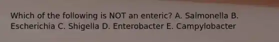 Which of the following is NOT an enteric? A. Salmonella B. Escherichia C. Shigella D. Enterobacter E. Campylobacter