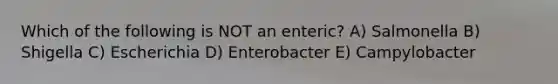 Which of the following is NOT an enteric? A) Salmonella B) Shigella C) Escherichia D) Enterobacter E) Campylobacter