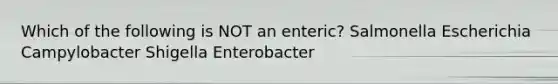 Which of the following is NOT an enteric? Salmonella Escherichia Campylobacter Shigella Enterobacter