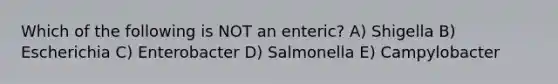 Which of the following is NOT an enteric? A) Shigella B) Escherichia C) Enterobacter D) Salmonella E) Campylobacter