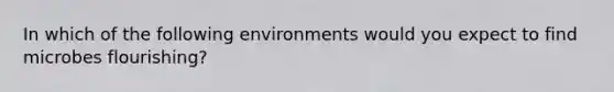 In which of the following environments would you expect to find microbes flourishing?