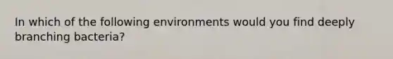 In which of the following environments would you find deeply branching bacteria?