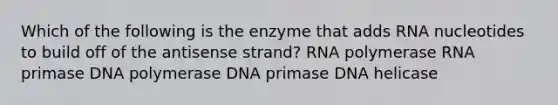 Which of the following is the enzyme that adds RNA nucleotides to build off of the antisense strand? RNA polymerase RNA primase DNA polymerase DNA primase DNA helicase