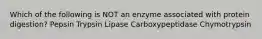 Which of the following is NOT an enzyme associated with protein digestion? Pepsin Trypsin Lipase Carboxypeptidase Chymotrypsin