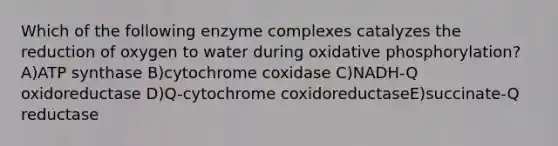 Which of the following enzyme complexes catalyzes the reduction of oxygen to water during oxidative phosphorylation? A)ATP synthase B)cytochrome coxidase C)NADH-Q oxidoreductase D)Q-cytochrome coxidoreductaseE)succinate-Q reductase