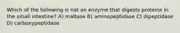 Which of the following is not an enzyme that digests proteins in the small intestine? A) maltase B) aminopeptidase C) dipeptidase D) carboxypeptidase