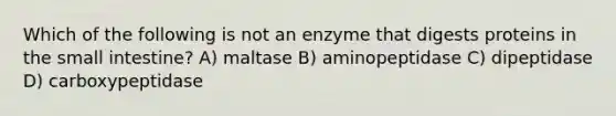 Which of the following is not an enzyme that digests proteins in the small intestine? A) maltase B) aminopeptidase C) dipeptidase D) carboxypeptidase