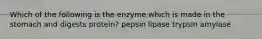 Which of the following is the enzyme which is made in the stomach and digests protein? pepsin lipase trypsin amylase