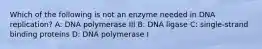 Which of the following is not an enzyme needed in DNA replication? A: DNA polymerase III B: DNA ligase C: single-strand binding proteins D: DNA polymerase I