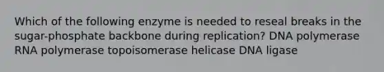 Which of the following enzyme is needed to reseal breaks in the sugar-phosphate backbone during replication? DNA polymerase RNA polymerase topoisomerase helicase DNA ligase