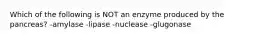 Which of the following is NOT an enzyme produced by the pancreas? -amylase -lipase -nuclease -glugonase