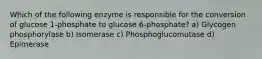 Which of the following enzyme is responsible for the conversion of glucose 1-phosphate to glucose 6-phosphate? a) Glycogen phosphorylase b) Isomerase c) Phosphoglucomutase d) Epimerase