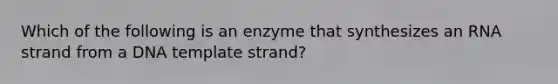 Which of the following is an enzyme that synthesizes an RNA strand from a DNA template strand?