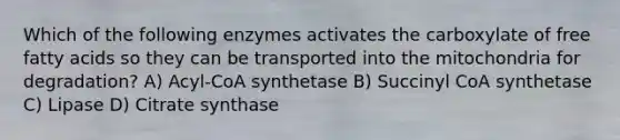 Which of the following enzymes activates the carboxylate of free fatty acids so they can be transported into the mitochondria for degradation? A) Acyl-CoA synthetase B) Succinyl CoA synthetase C) Lipase D) Citrate synthase