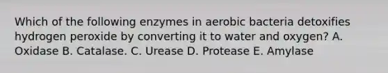 Which of the following enzymes in aerobic bacteria detoxifies hydrogen peroxide by converting it to water and oxygen? A. Oxidase B. Catalase. C. Urease D. Protease E. Amylase