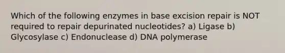 Which of the following enzymes in base excision repair is NOT required to repair depurinated nucleotides? a) Ligase b) Glycosylase c) Endonuclease d) DNA polymerase