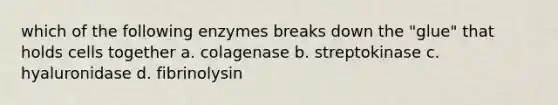 which of the following enzymes breaks down the "glue" that holds cells together a. colagenase b. streptokinase c. hyaluronidase d. fibrinolysin