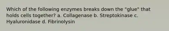 Which of the following enzymes breaks down the "glue" that holds cells together? a. Collagenase b. Streptokinase c. Hyaluronidase d. Fibrinolysin