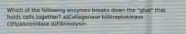 Which of the following enzymes breaks down the "glue" that holds cells together? a)Collagenase b)Streptokinase c)Hyaluronidase d)Fibrinolysin